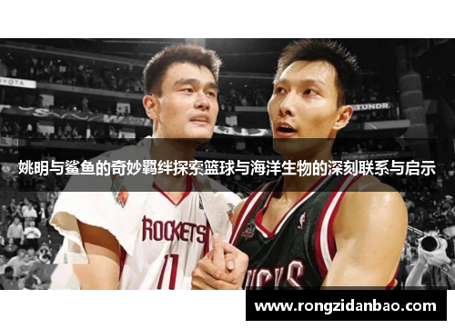 姚明与鲨鱼的奇妙羁绊探索篮球与海洋生物的深刻联系与启示