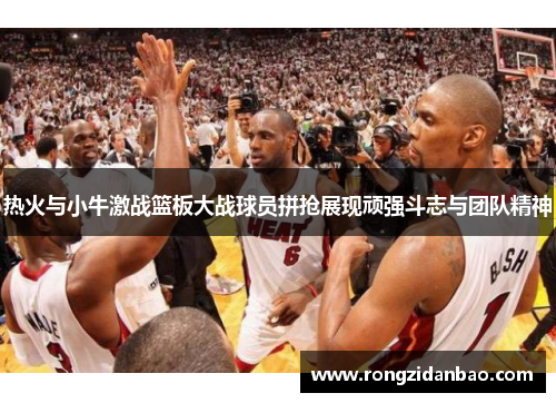 热火与小牛激战篮板大战球员拼抢展现顽强斗志与团队精神